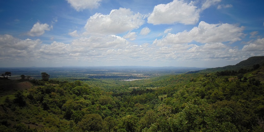 Central India landscape with forests and wildlife
